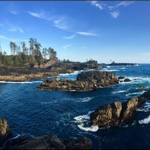 Meet your Posher, Desirae